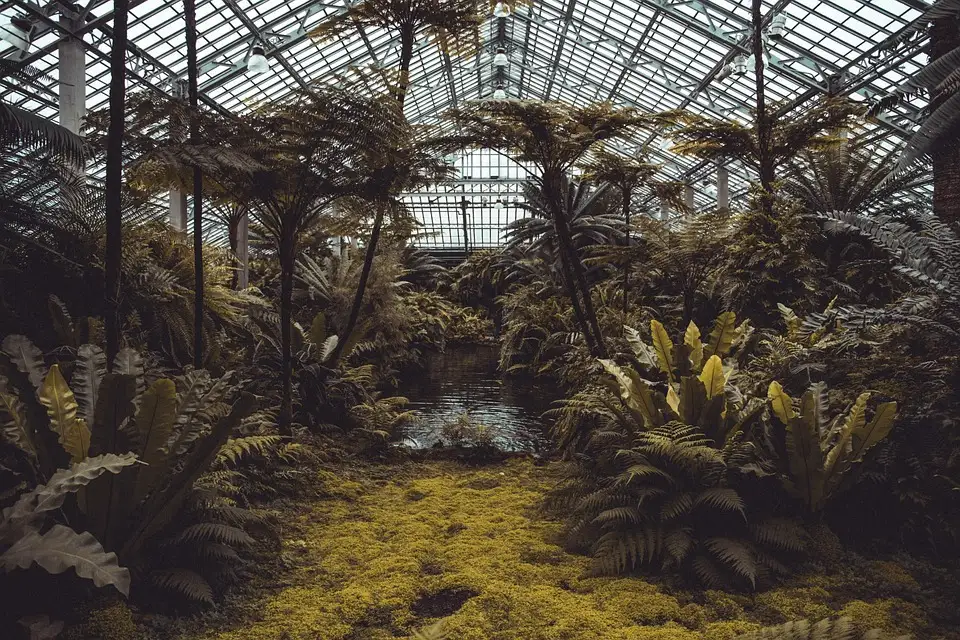 Stroll Through the Moorten Botanical Garden-travel guide voyage Stroll Through the Moorten Botanical Garden-travel guide voyage
